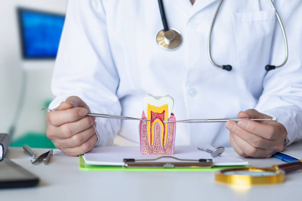 Best Emergency Broken Tooth Repair in Bryn Mawr, PA